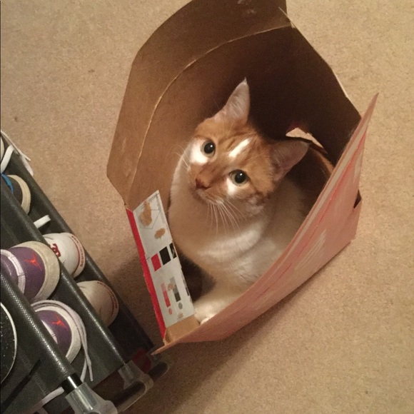 Meet your Posher, Lisa - Picture 1 of 1